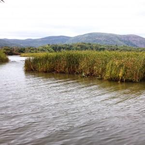 Constitution Marsh