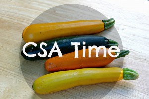 CSA Time