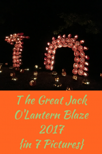 The 2017 Great Jack O'Lantern Blaze in 7 pictures.