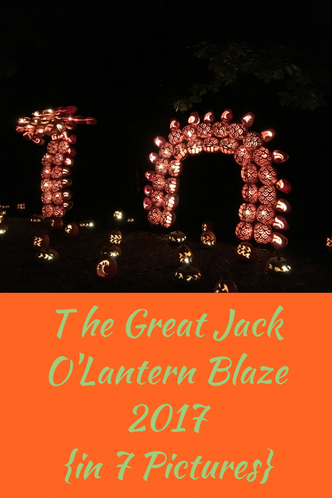 The 2017 Great Jack O'Lantern Blaze in 7 pictures. 