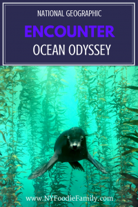 National Geographic Encounter: Ocean Odyssey is an immersive, family fun experience in NYC. Take a journey under the ocean and learn all about the sea and its life.