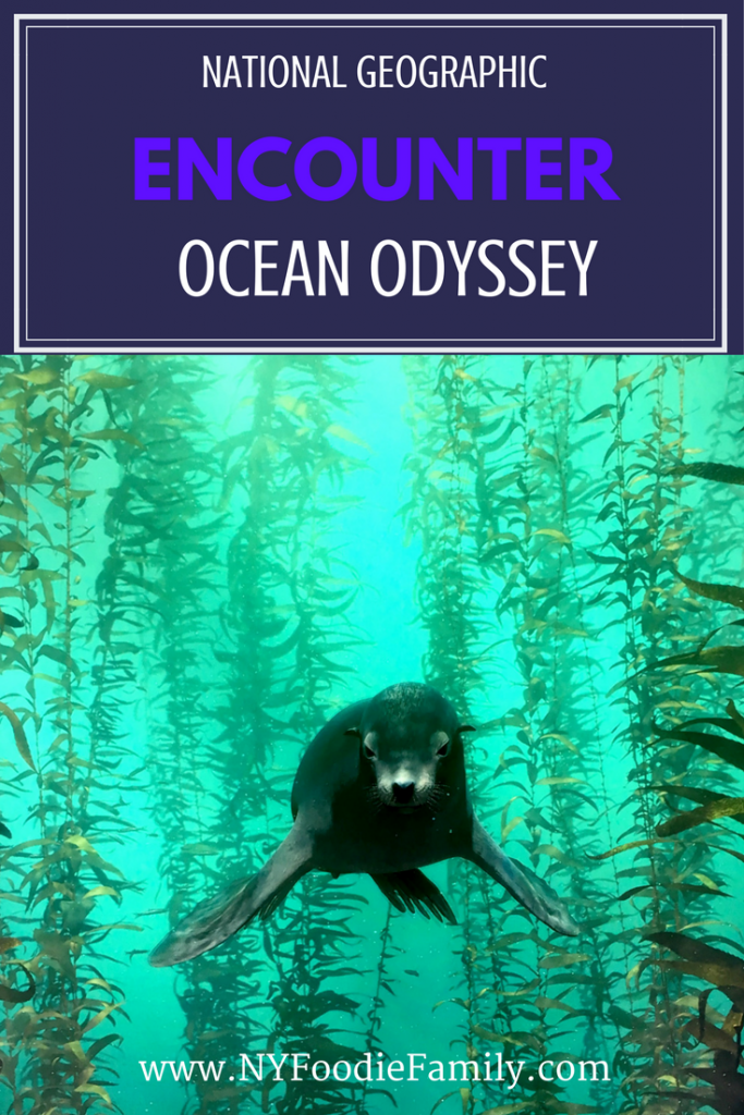 National Geographic Encounter: Ocean Odyssey is an immersive, family fun experience in NYC. Take a journey under the ocean and learn all about the sea and its life. 