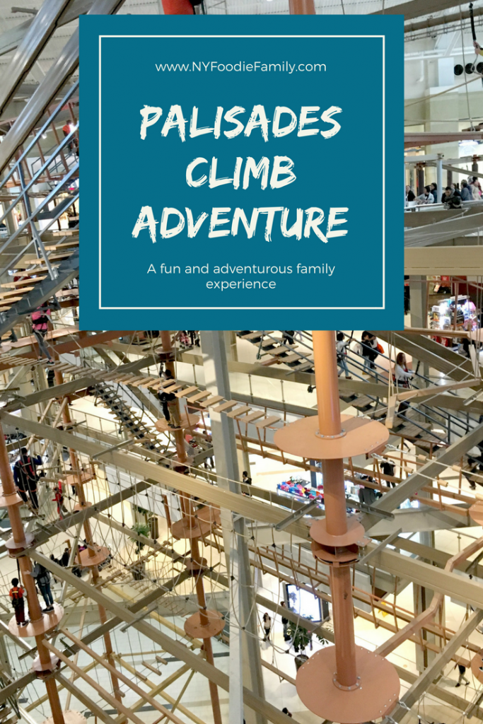 A fun and aventurous family outing at the Palisades Center mall.