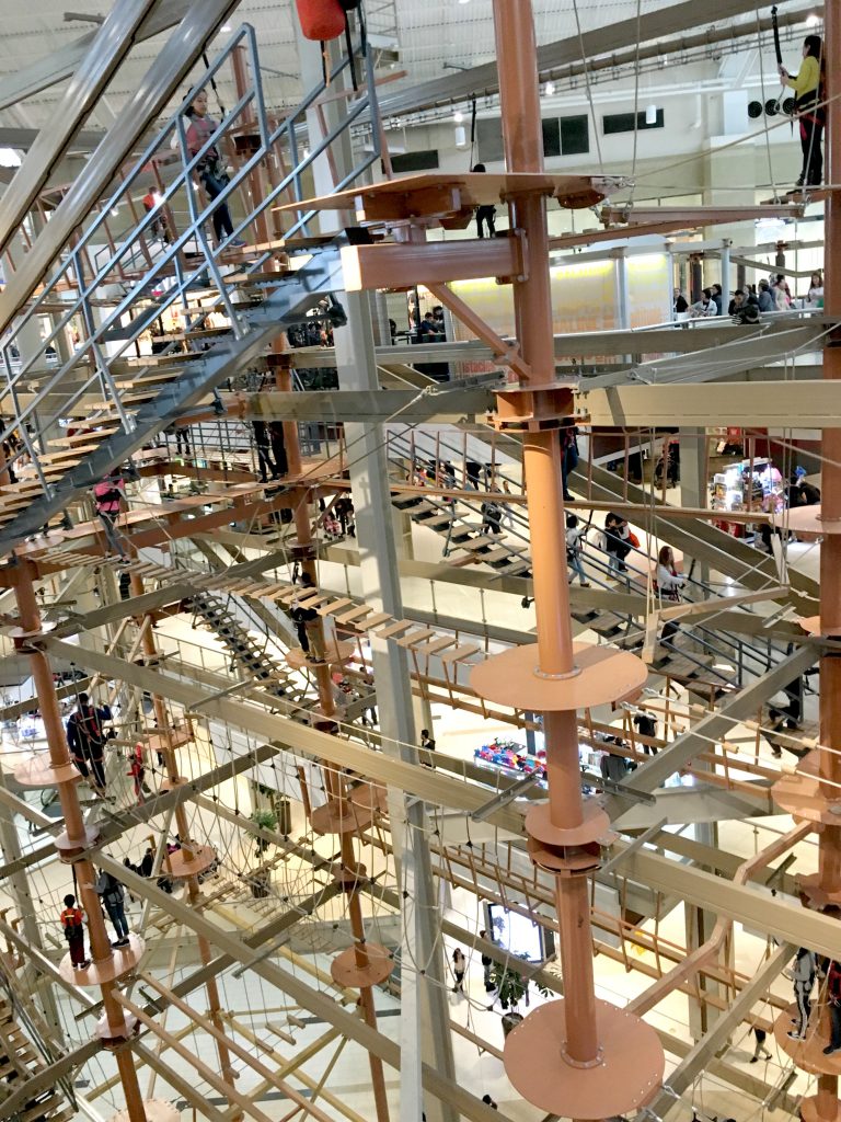 The Palisades Climb Adventure is the tallest indoor ropes course at 85 feet!