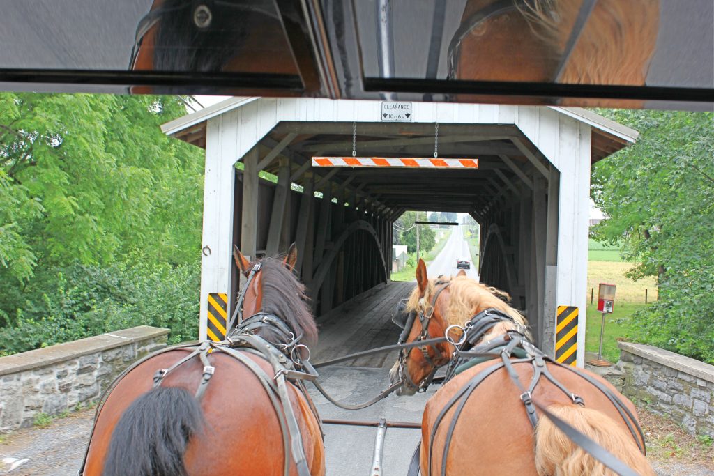 A buggy ride in Lancaster County. 