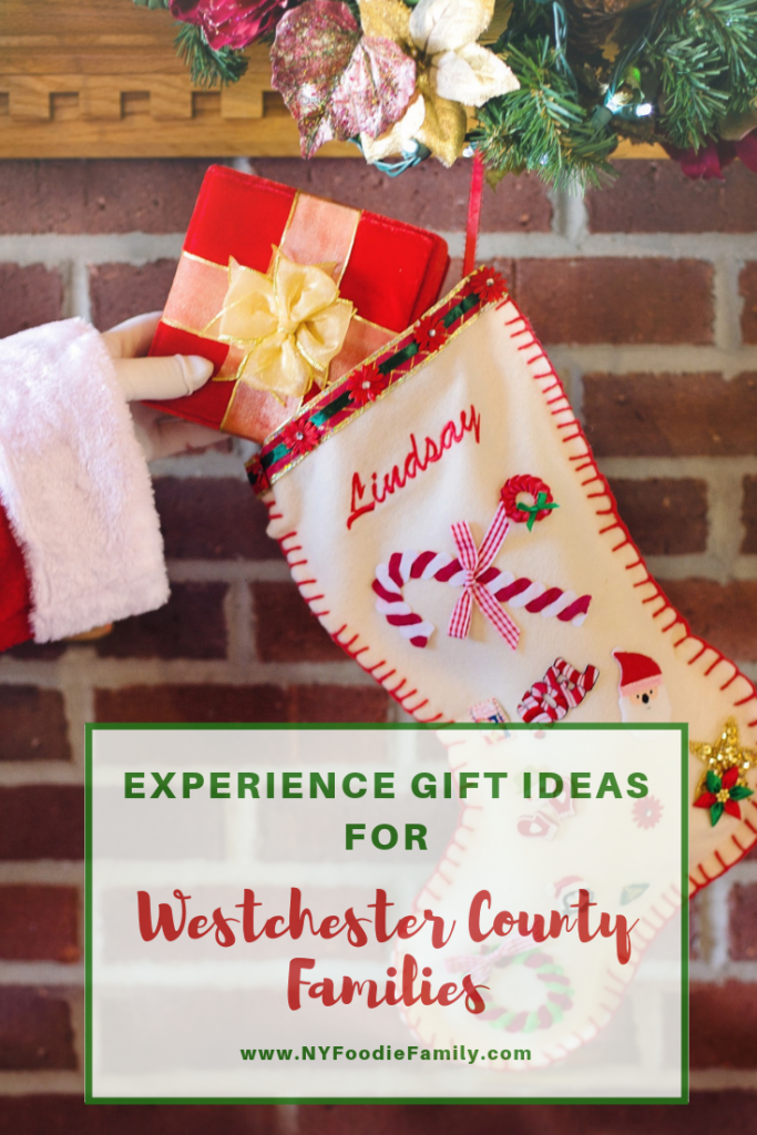 44+ Whole Family Experience Gift Ideas For Christmas