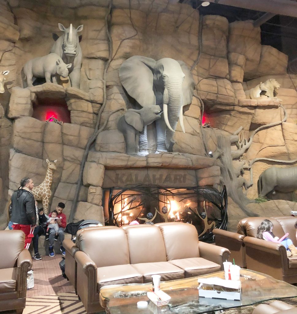 A Visit To Kalahari Resort Ny Foodie Family