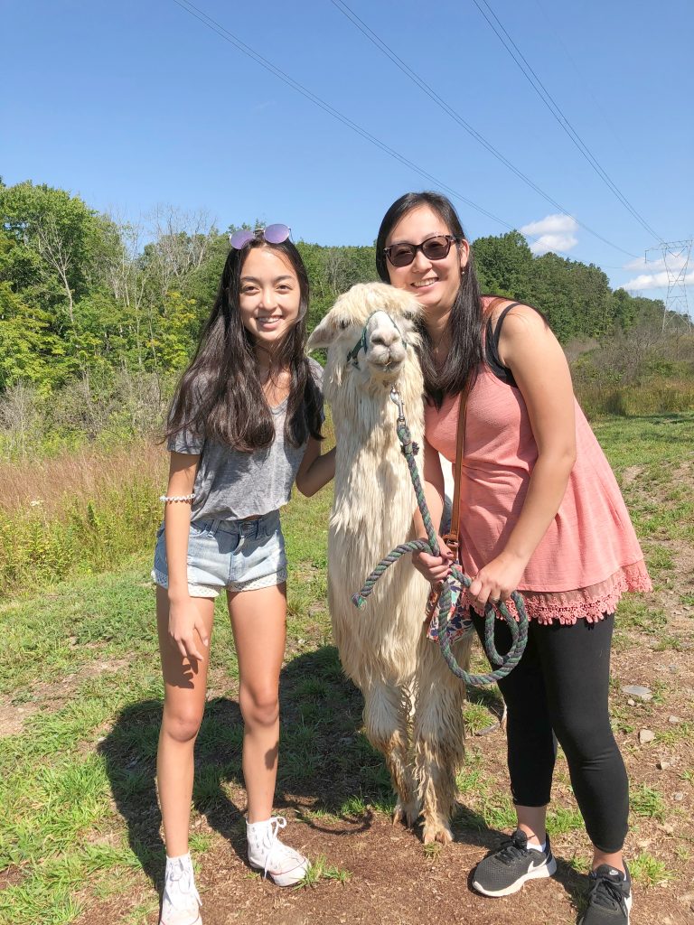 All Natural Alpaca Yarn — Clover Brooke Farm Llama Alpaca Hikes