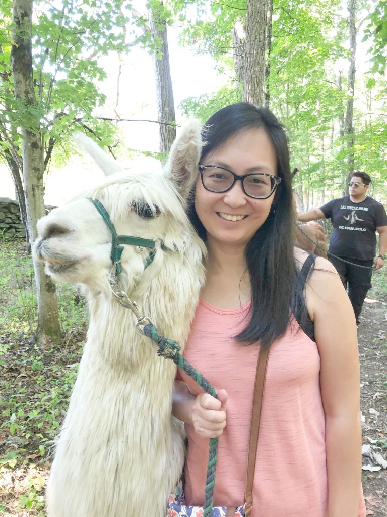 All Natural Alpaca Yarn — Clover Brooke Farm Llama Alpaca Hikes