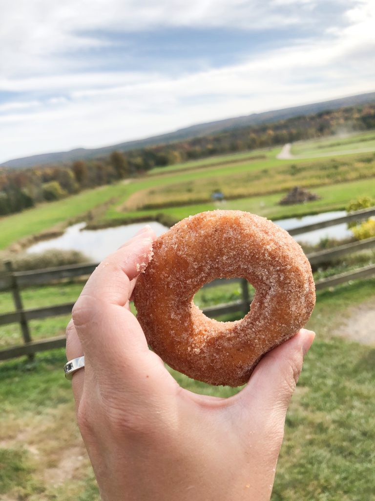 Kelder's Farm cider donut