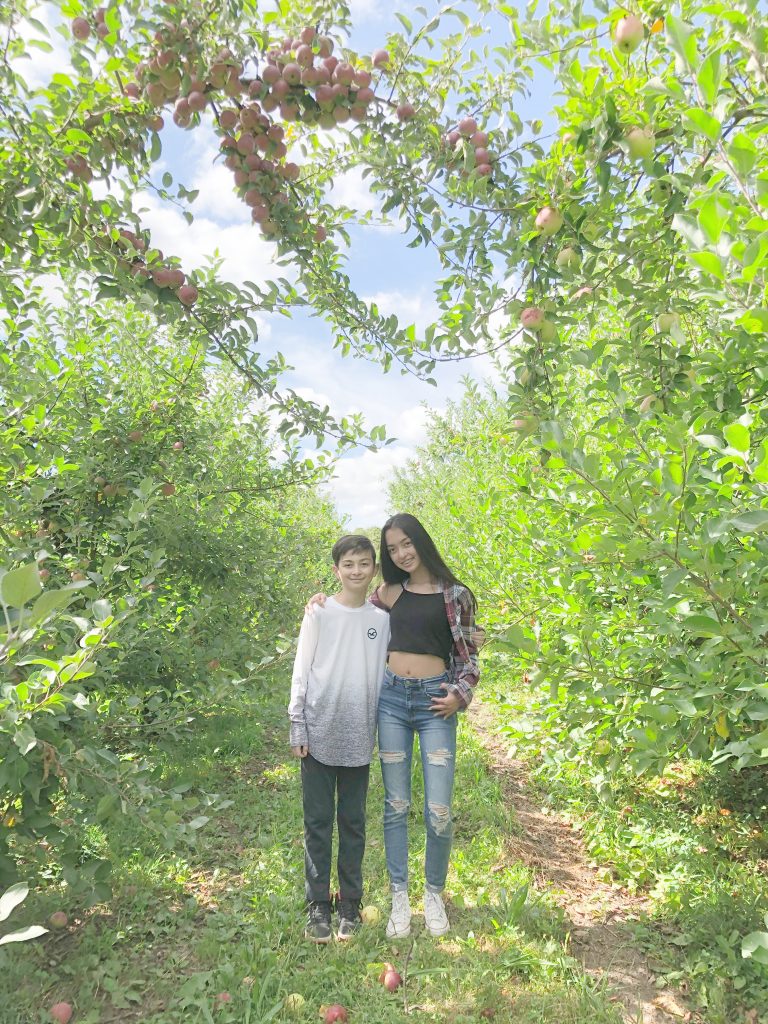 Soons Orchard Apple arch