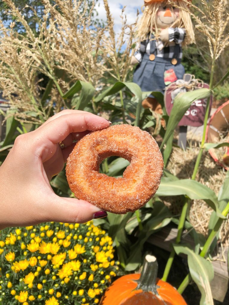 https://nyfoodiefamily.com/wp-content/uploads/2020/09/Soons-Orchards-Cider-Doughnut-768x1024.jpg