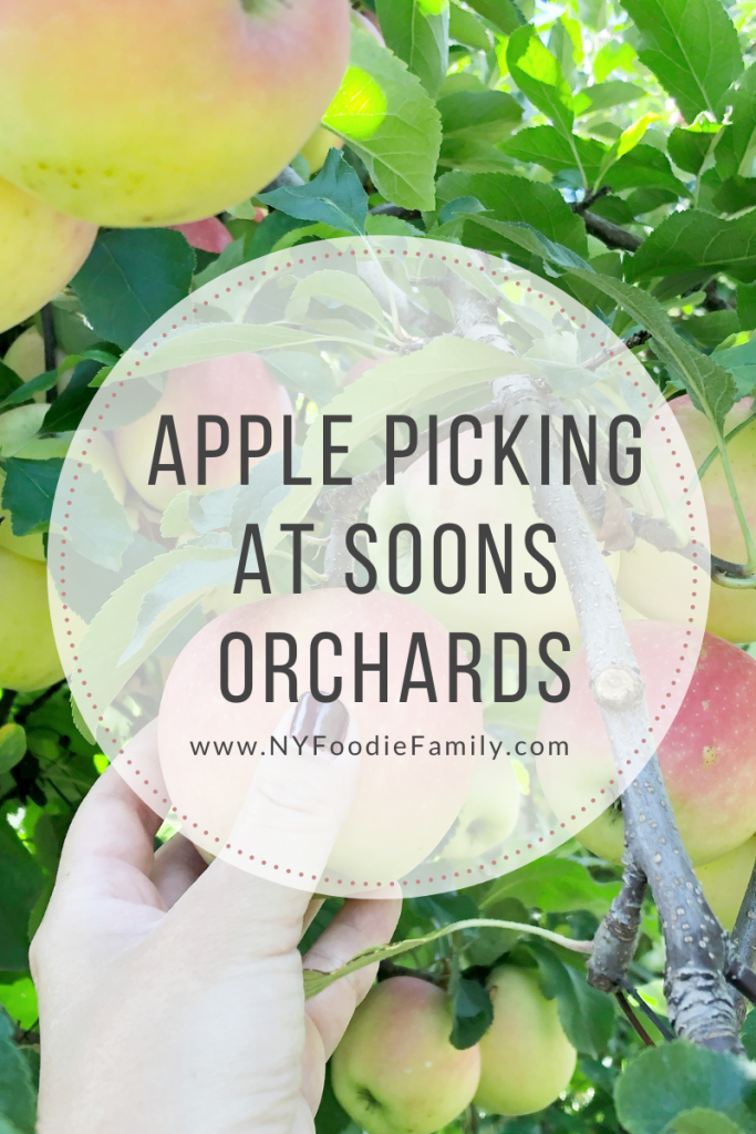 1/4 Peck U-Pick Apple Bag & Orchard Entrance