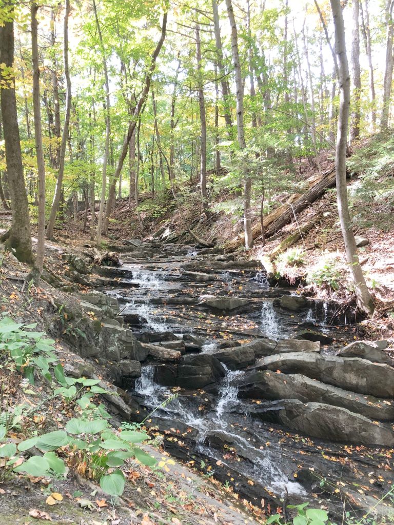 Falling Waters Preserve waterfall